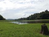 Thattekad Bird Sanctuary – First Of Its Kind In Kerala 