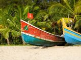 Explore The Beach Village Of Mararikulam To Witness The Magic Of Nature