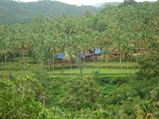 Inside The Mysterious ‘Twin-Village’ Of Kodinhi: 500 Pairs And Counting
