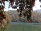 Naukuchiatal – A Tiny Hill Station In Uttarakhand