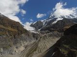 The Pindari Glacier Trek: A Trail Laid Through Himalaya’s Rhododendron Carpet