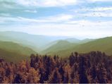 Sind Valley In Jammu And Kashmir – An Exceptional Carnival Of Nature