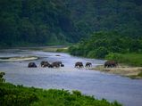 To Chalsa: A Surreal Retreat In The Eastern Himalayas