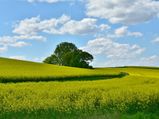 Photogenic Places In Northeast India That Will Leave You Wonderstruck