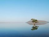 Ever Heard Of Pakhal Lake In Telangana Which Resembles A Heavenly Site?
