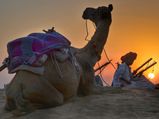 Music And Traveling: Our Tribute On World Music Day 2018