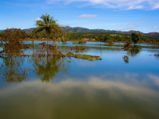 Explore These Hidden Hill Stations In The Pathanamthitta District Of Kerala