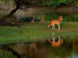 Things you can do in Bhopal if you have only 24 hours