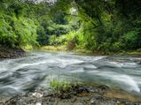 Monsoon 2023: Enjoy The Actual Beauty Of The Rains Around Mangalore