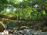 Things One Can Find Only In Northeast India