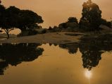 Soothing Places In Bangalore Where You Can Feel The Essence Of Equanimity