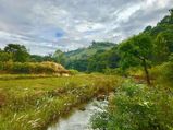 Visakhapatnam To Lambasingi – To The Kashmir Of Andhra Pradesh