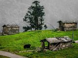 Top Reasons Why Visiting Arunachal Pradesh Is A Surreal Experience