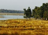 The Beautiful District Of Chhindwara And Its Astounding Tourist Spots