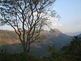 Why The Charming Poonjar In Kerala Demands Exploration?