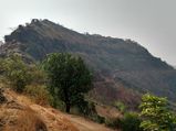 Ruined Yet Mesmerising Forts In Ratnagiri That Are Victims Of Time