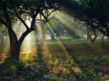 Hyderabad To Puttaparthi – Get Lost In The Divinity Of A Spiritual World