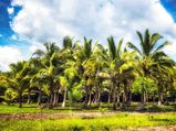 Hyderabad To Eluru – To The City With Unforgettable History And Incredible Nature