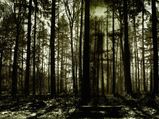 The Picturesque Pachmarhi Has A Haunted Forest? Learn All About It Here