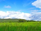 The Historic District Of Bargarh And Its Beautiful Attractions