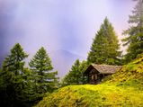 Why Yusmarg Is A Perfect Alternative To Every Other Hill Station In India