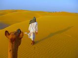 Desert National Park In Rajasthan Has A Lot More Than Just Rich Wildlife