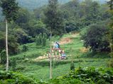 7 Surprising Facts About The Controversial Sabarimala Temple