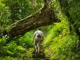 List Of Best Jungle Treks In India To Visit In May