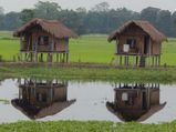 Discover The Magical Majuli, An Island Enclosed By The Mighty Brahmaputra River