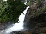 Soochippara Falls In Wayanad: A Complete Travel Guide