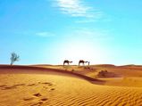 Best Summer Vacations In Rajasthan