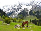 Weekend Getaways From Srinagar