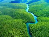 The Amazon – Planet's Artless Beauty