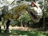 Jharkhand’s First Dinosaur Fossil Park Opens Doors For Visitors