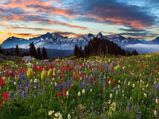 Mount Rainer National Park – Hikers Haven