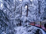 Epic Winter Vacations In India: Trip Idea 2 – Kalka To Shimla On The Toy Train