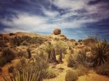 The Mojave Desert: A Great Excursion From Las Vegas