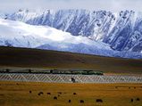 The Qinghai-Tibet Railway : Roof Of The World Express