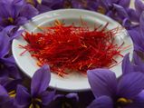 Saffron Festival Kashmir 2022 Dates, Venue, Things Do To, Attractions and Other Details