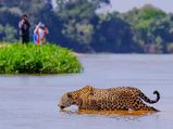 The Pantanal: The World's Largest Tropical Wetland