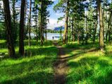 Tahoe Rim Trail: A Scenic Walk In The USA