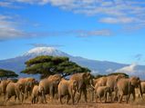 Mount Kenya – Kenya's Prime Attraction
