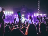 All About The First Ever “Purple Fest” In Goa 2023