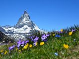 Unbelievable Things You Never Knew About Matterhorn Mountain