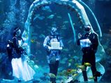 What are some of the Weird Destination Wedding Ideas? Take a quick look!