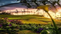Hike along the tallest palm trees in Columbia – Hiking tips for Cocora valley!