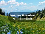 Phool Dei Festival: That’s How Uttarakhand Welcomes Spring, Come Check Out This
