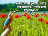 World Wildlife Day 2023: Time To Celebrate And Protect Wildlife