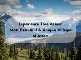 Wait, You are doing it wrong! Experience True Assam here!