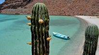 Baja California: Where Desert Meets the Sea in a Spectacular Display